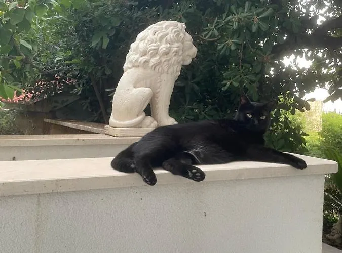 Deluxe Marghareta Dubrovnik