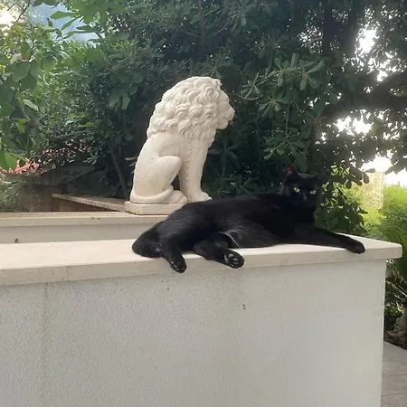 Deluxe Marghareta Ragusa